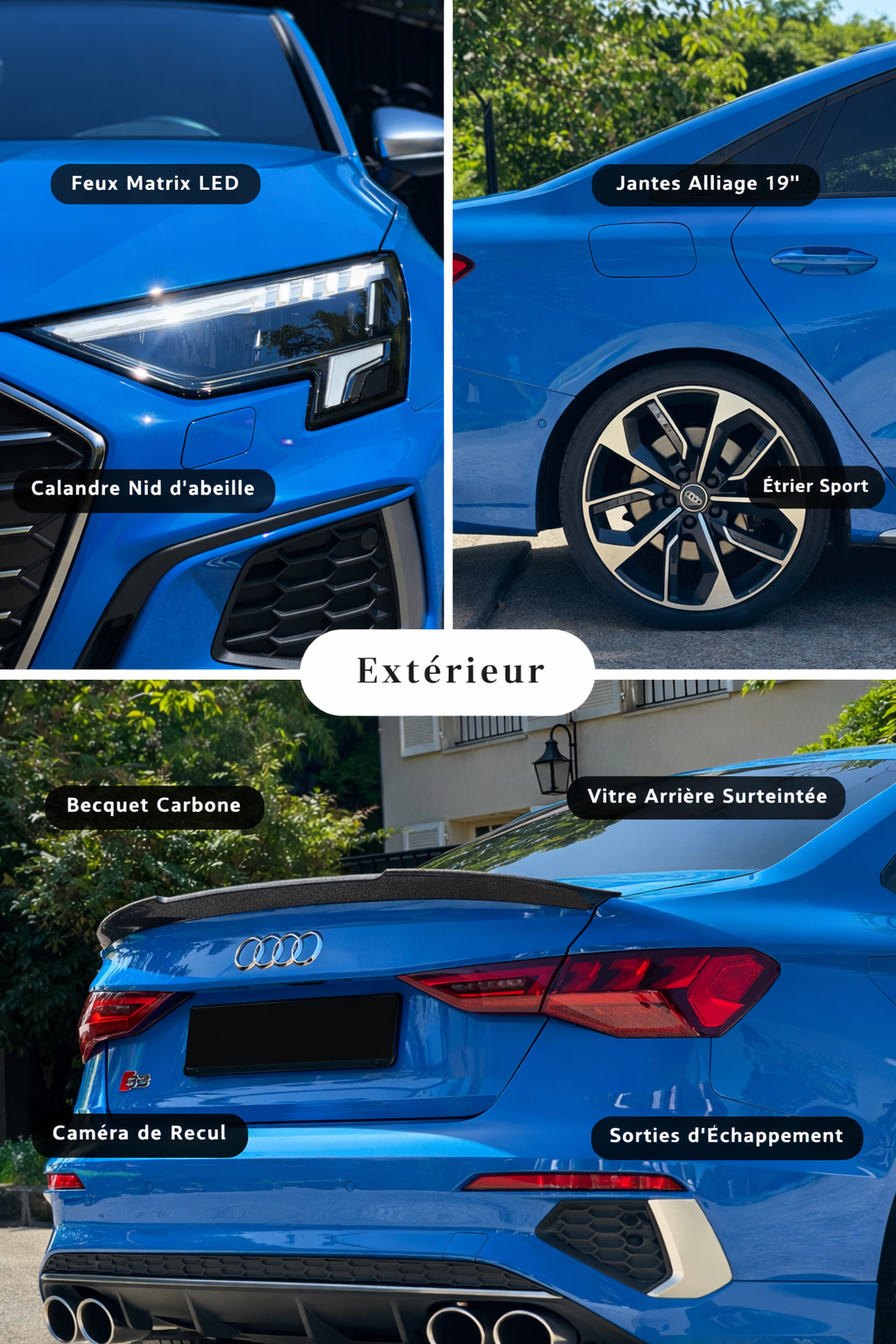 ChatGPT Image 19 févr. 2026 à 11_15_08