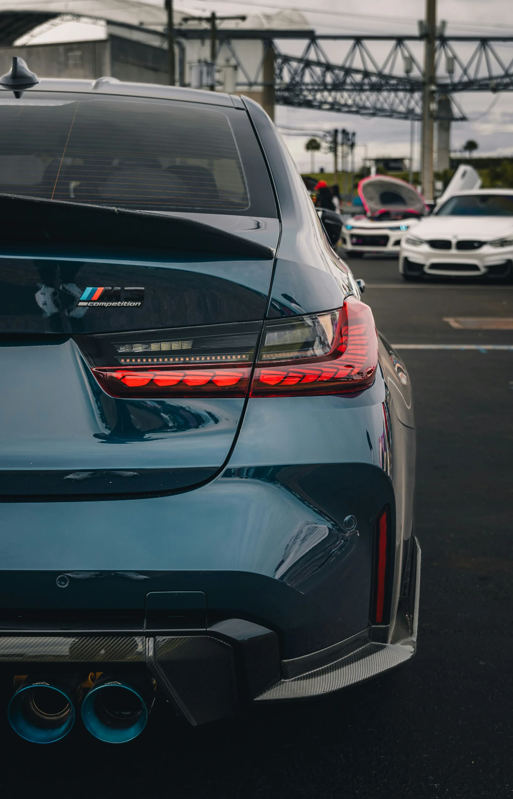 bradikan-nuF88iIQOu0-unsplash