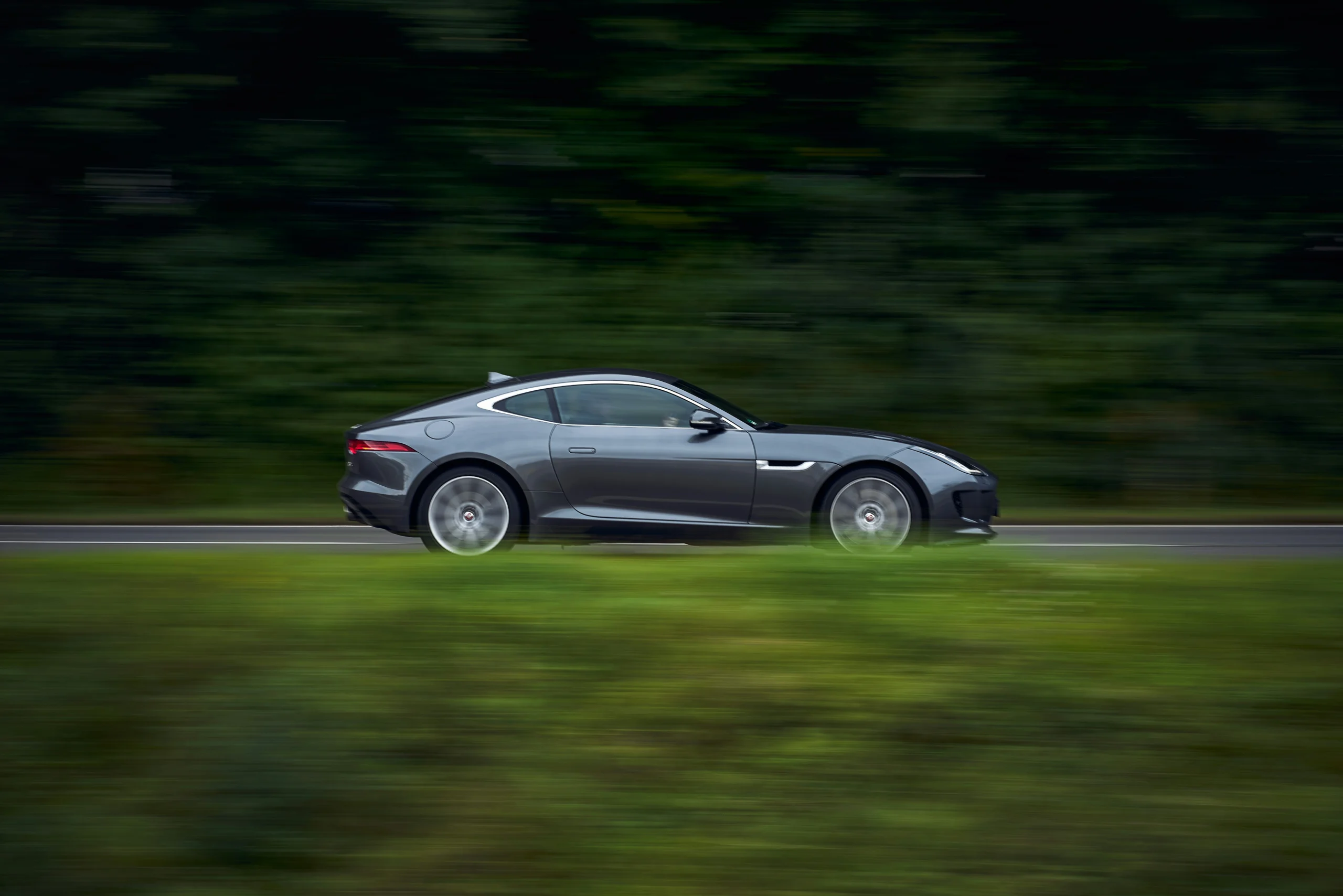 timo-trilk-uW3msXO0MLY-unsplash